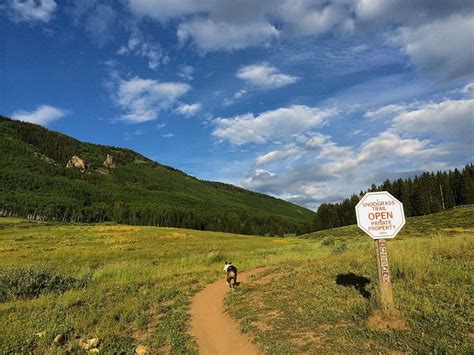 snodgrass trail|snodgrass trail crested butte.